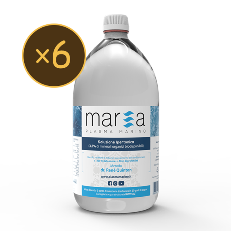 6 x Marea